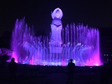 IMG_5687.jpg