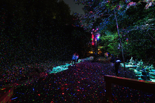 魁北克的“ Foresta Lumina”魔法森林灯光秀