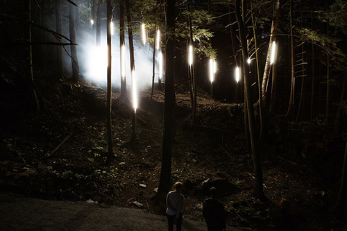 魁北克的“ Foresta Lumina”魔法森林灯光秀