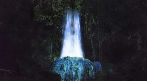 魔幻森林灯光投影秀 magic forest light projection show