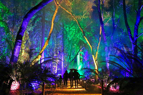 魔幻森林灯光投影秀 magic forest light projection show