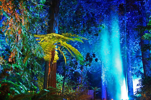 魔幻森林灯光投影秀 magic forest light projection show